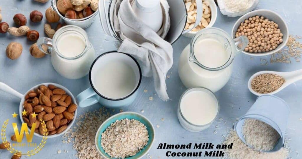 Categorize Plant-Based Milk Based on their Protein Content